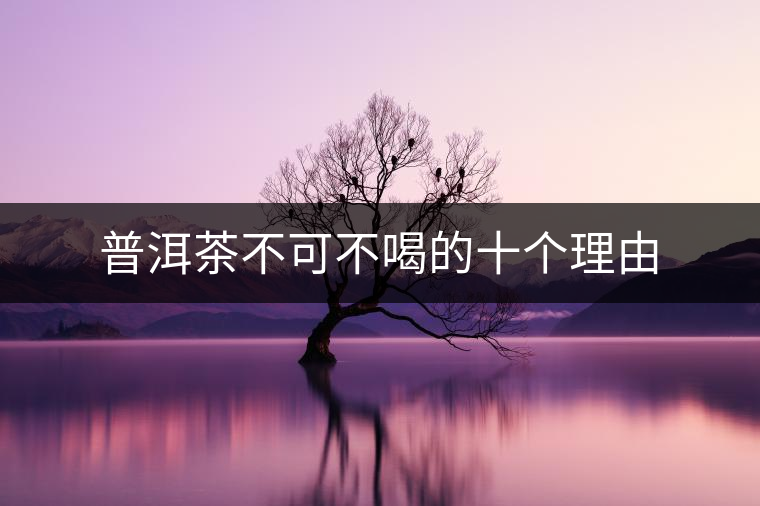 普洱茶不可不喝的十個理由 普洱茶不可不喝的十個理由