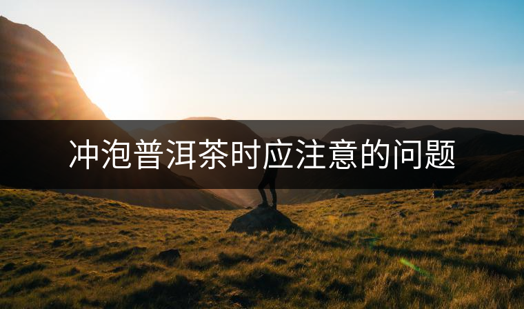 沖泡普洱茶時(shí)應(yīng)注意的問題 沖泡普洱茶時(shí)應(yīng)注意的問題