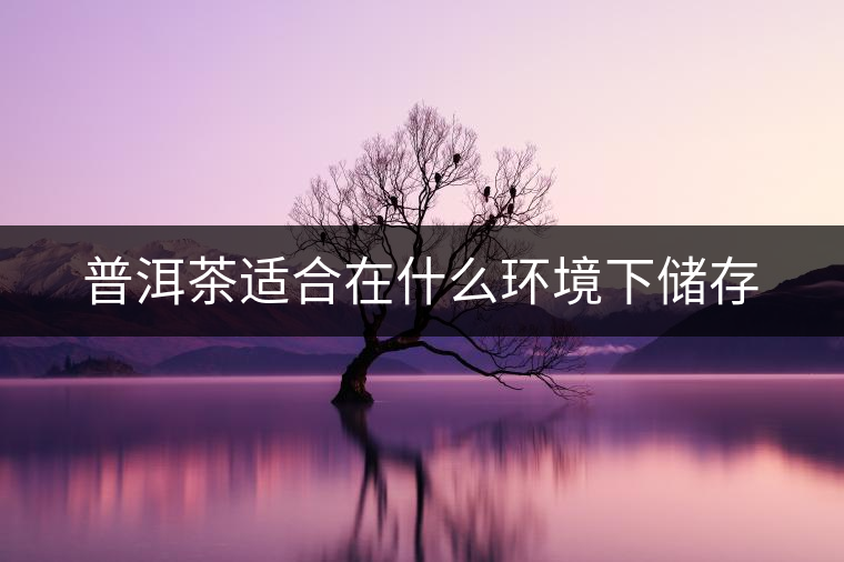 普洱茶適合在什么環(huán)境下儲存 普洱茶適合在什么環(huán)境下儲存