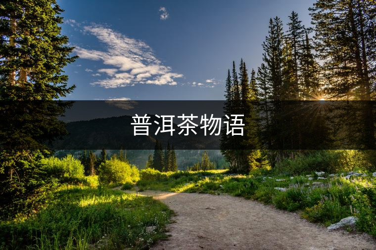 普洱茶物語(yǔ) 普洱茶物語(yǔ)