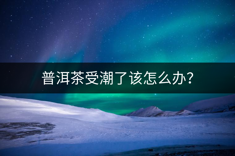 普洱茶受潮了該怎么辦？