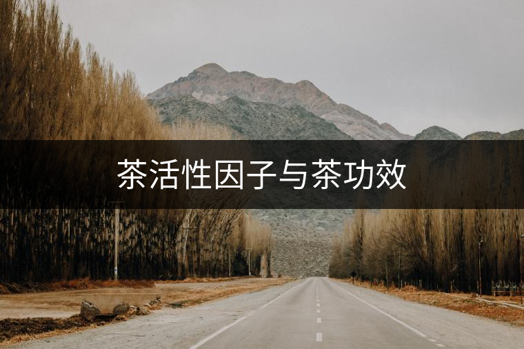 茶活性因子與茶功效 茶活性因子與茶功效