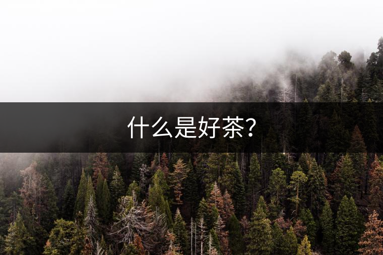 什么是好茶？