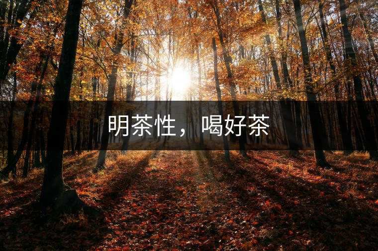 明茶性，喝好茶