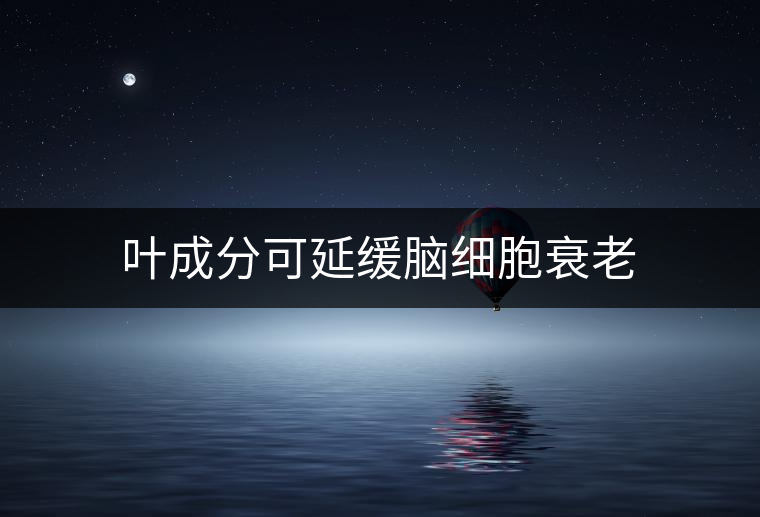 葉成分可延緩腦細(xì)胞衰老