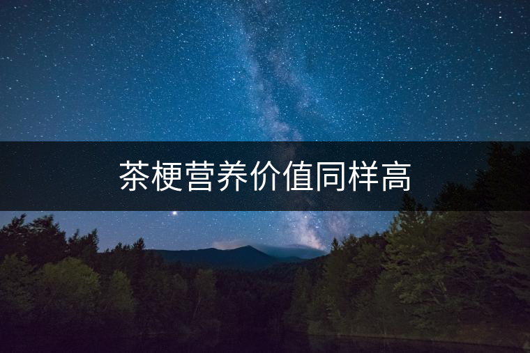 茶梗營養(yǎng)價值同樣高