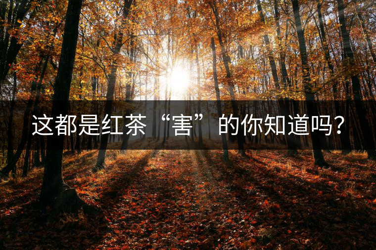 這都是紅茶“害”的你知道嗎？