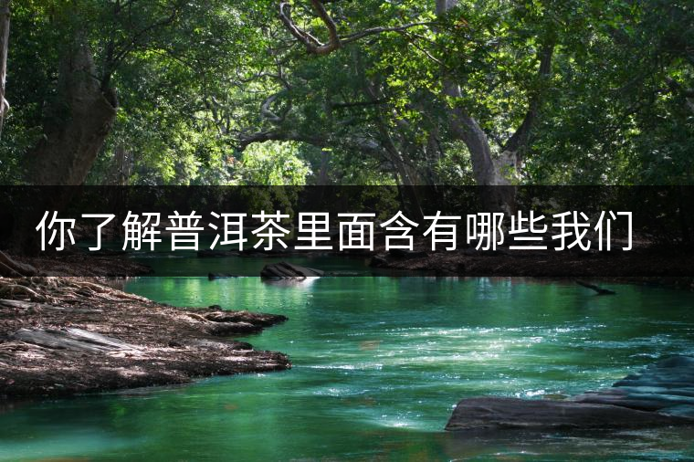 你了解普洱茶里面含有哪些我們?nèi)梭w必備的元素嗎？