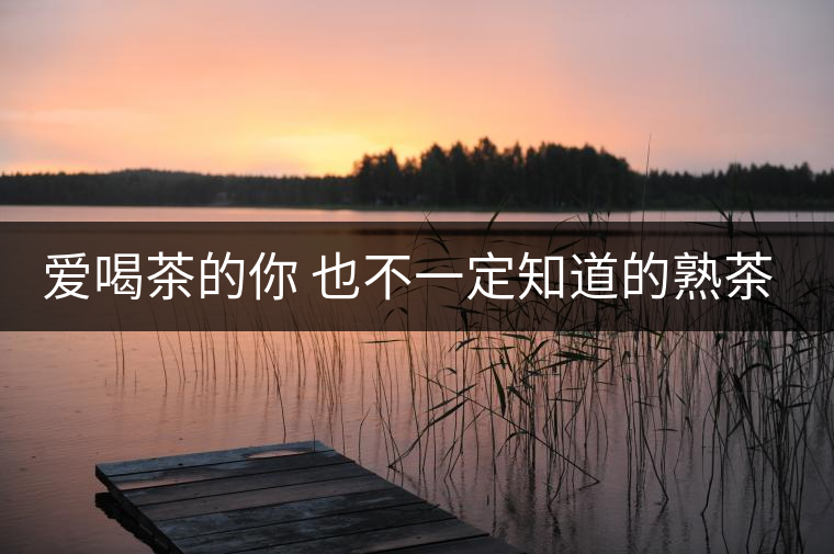 愛喝茶的你 也不一定知道的熟茶知識(shí)！
