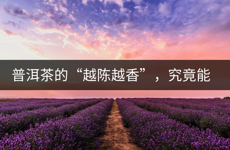 普洱茶的“越陳越香”，究竟能“陳”多久