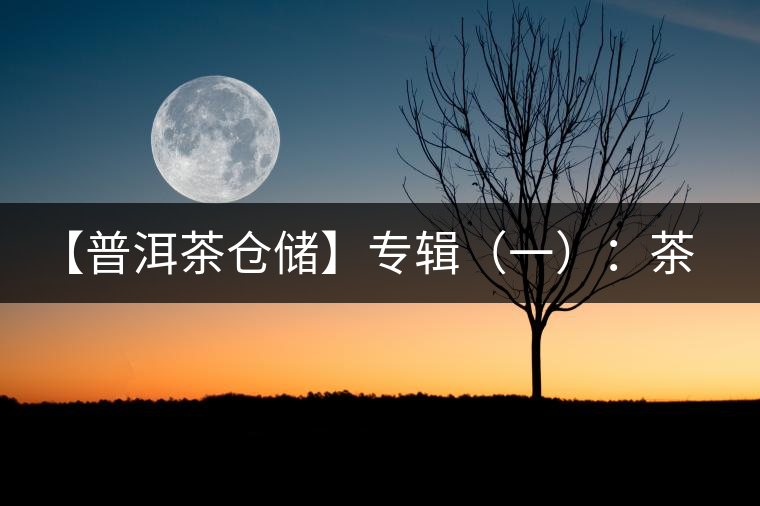 【普洱茶倉(cāng)儲(chǔ)】專輯(一):茶商倉(cāng)儲(chǔ)與家庭倉(cāng)的差異 【普洱茶倉(cāng)儲(chǔ)】專輯(一):茶商倉(cāng)儲(chǔ)與家庭倉(cāng)的差異