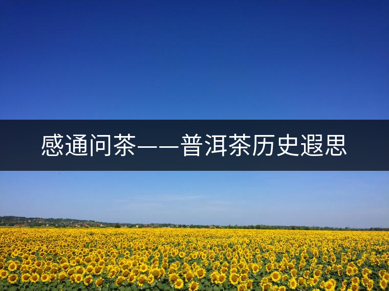 感通問茶——普洱茶歷史遐思