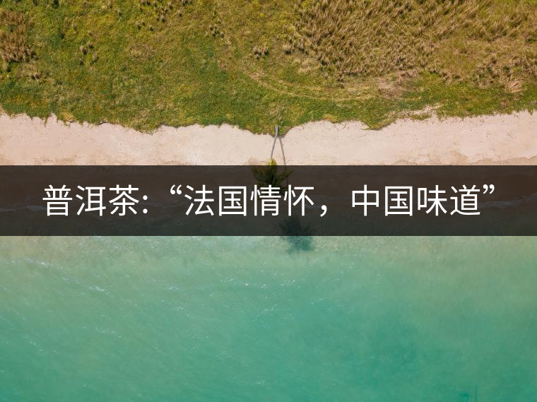 普洱茶:“法國情懷,中國味道” 普洱茶:“法國情懷,中國味道”