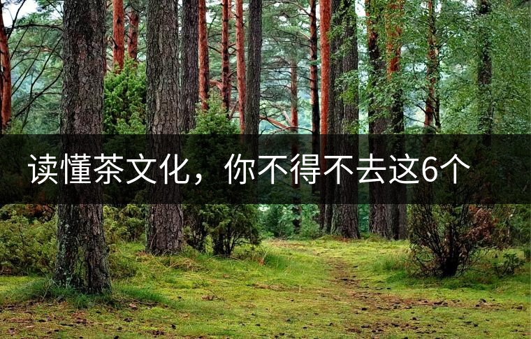 讀懂茶文化，你不得不去這6個城市