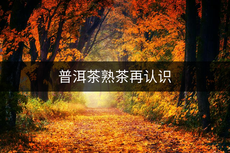 普洱茶熟茶再認識