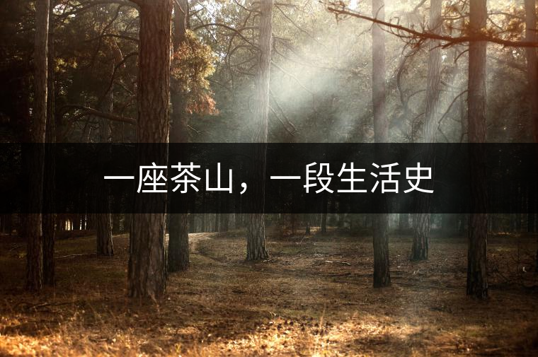 一座茶山，一段生活史