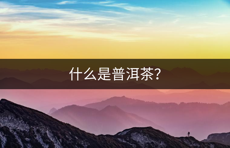 什么是普洱茶？