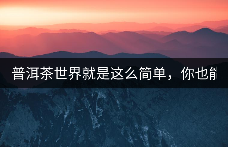 普洱茶世界就是這么簡單，你也能懂！