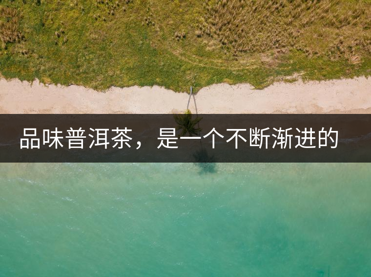 品味普洱茶，是一個不斷漸進的過程