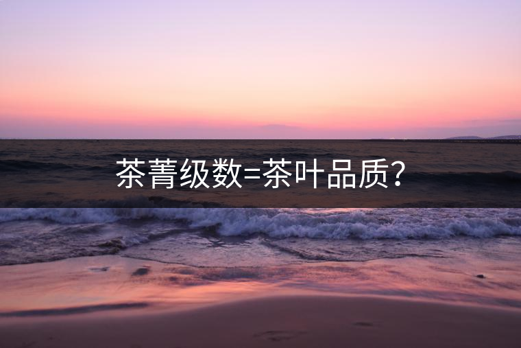 茶菁級(jí)數(shù)=茶葉品質(zhì)？