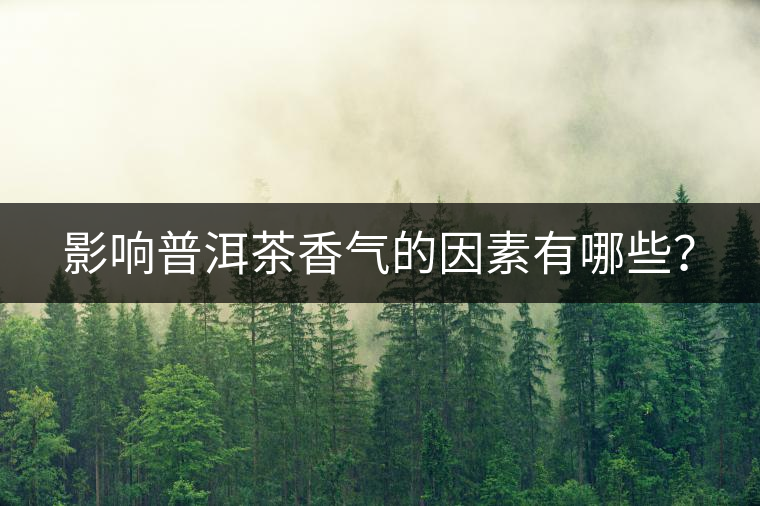 影響普洱茶香氣的因素有哪些？