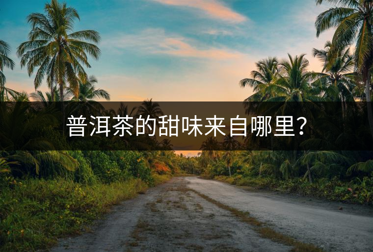 普洱茶的甜味來自哪里？