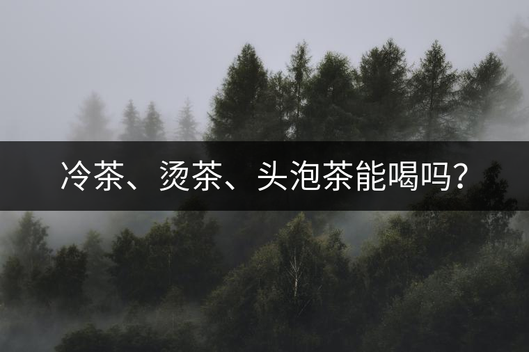 冷茶、燙茶、頭泡茶能喝嗎？