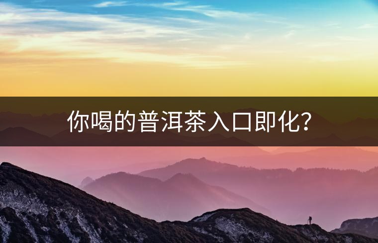 你喝的普洱茶入口即化？