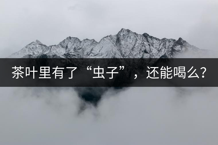 茶葉里有了“蟲子”，還能喝么？