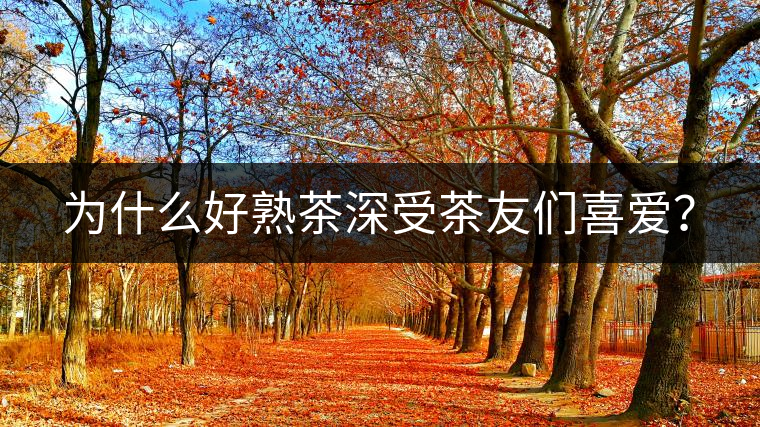 為什么好熟茶深受茶友們喜愛(ài)？