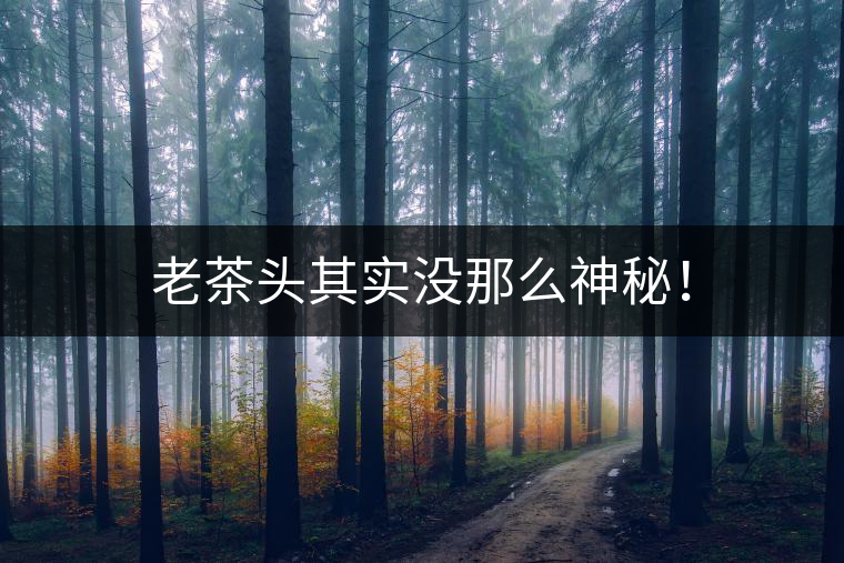 老茶頭其實(shí)沒那么神秘！