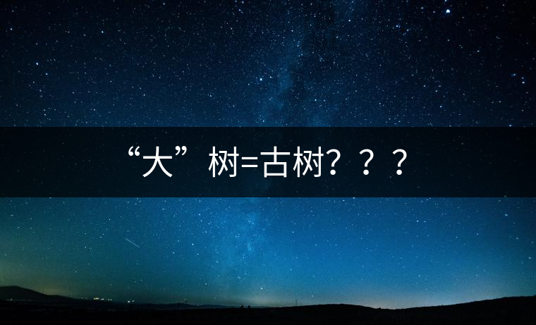 “大”樹=古樹？？？