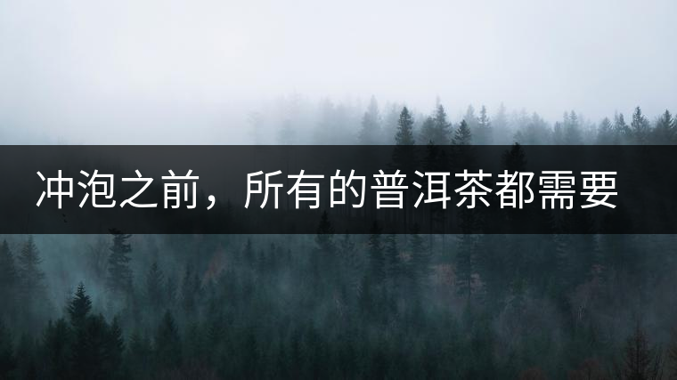 沖泡之前，所有的普洱茶都需要醒茶嗎？