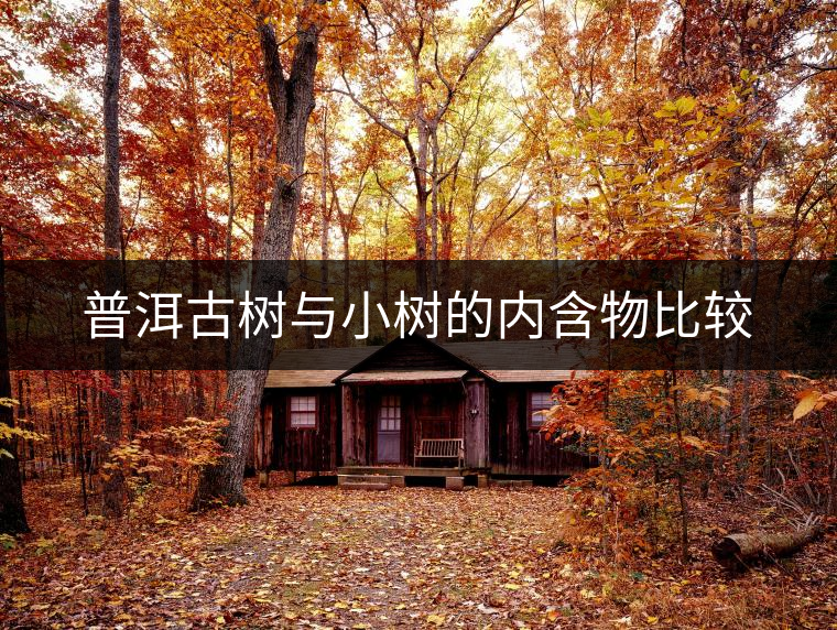 普洱古樹與小樹的內含物比較