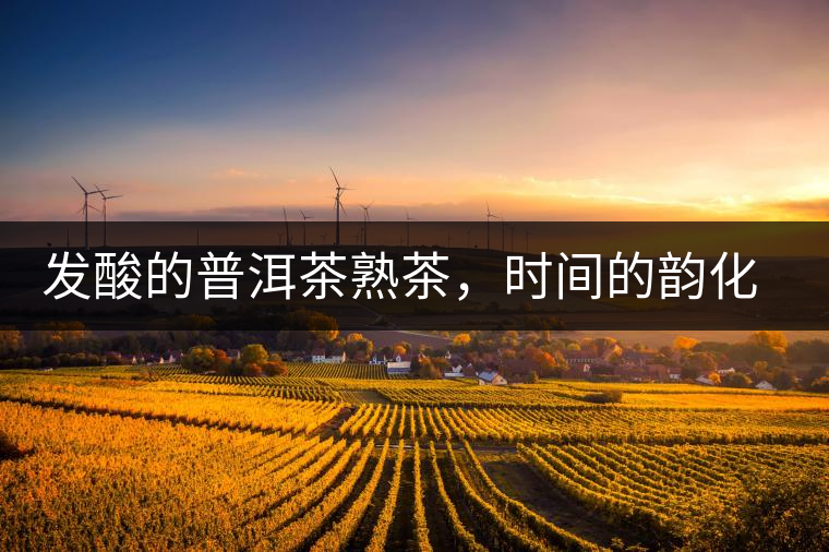 發(fā)酸的普洱茶熟茶，時(shí)間的韻化會(huì)讓它驚艷無(wú)比！