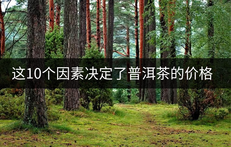 這10個(gè)因素決定了普洱茶的價(jià)格? 這10個(gè)因素決定了普洱茶的價(jià)格?