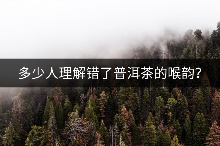多少人理解錯了普洱茶的喉韻？