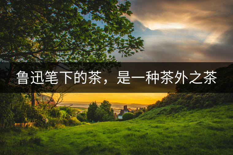 魯迅筆下的茶，是一種茶外之茶