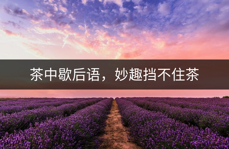 茶中歇后語(yǔ),妙趣擋不住茶 茶中歇后語(yǔ),妙趣擋不住茶