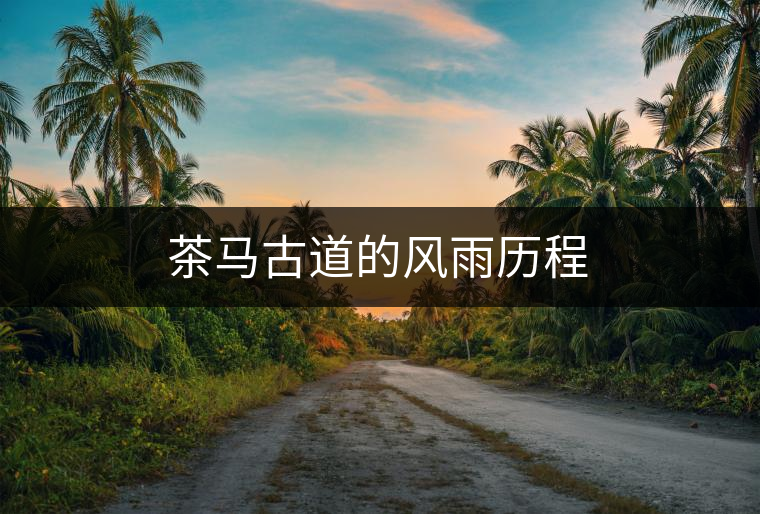 茶馬古道的風雨歷程　