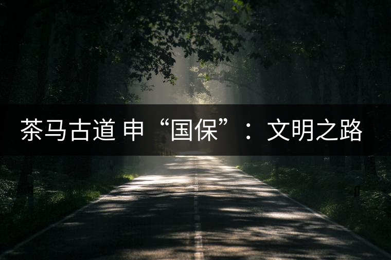 茶馬古道 申“國?！保何拿髦返脑侔l(fā)現(xiàn)