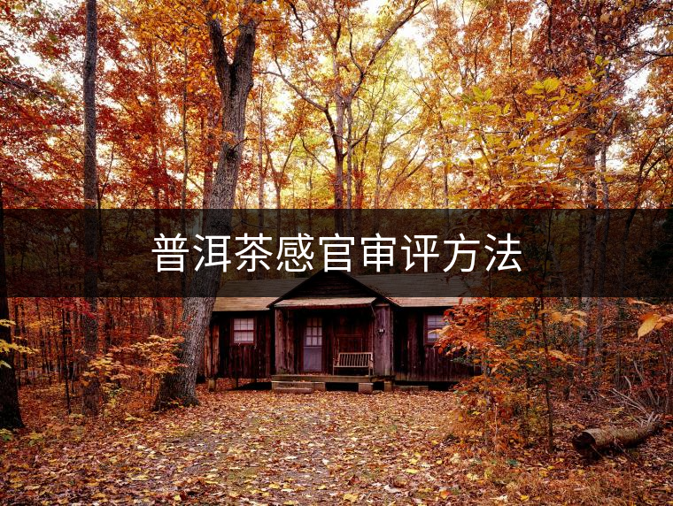 普洱茶感官審評方法