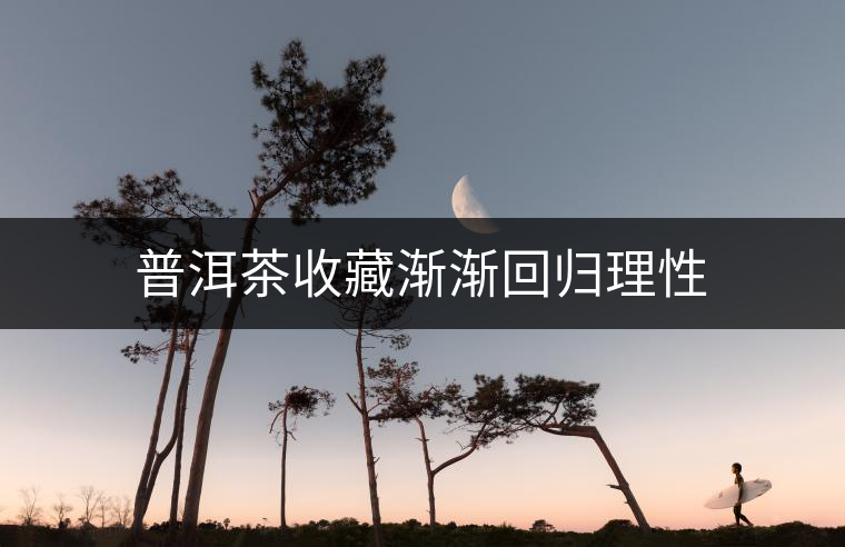 普洱茶收藏漸漸回歸理性 普洱茶收藏漸漸回歸理性