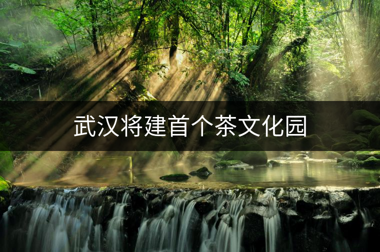 武漢將建首個茶文化園 武漢將建首個茶文化園