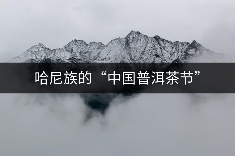 哈尼族的“中國普洱茶節(jié)”