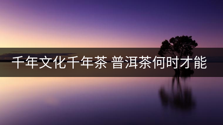 千年文化千年茶 普洱茶何時才能感動全世界