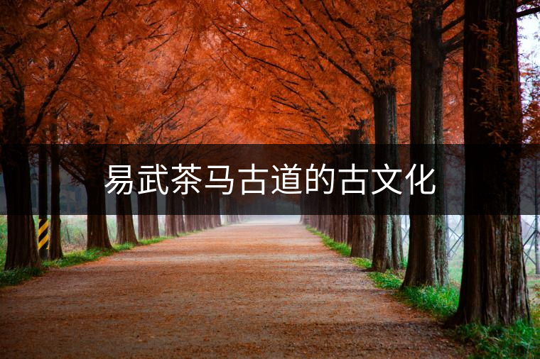 易武茶馬古道的古文化 易武茶馬古道的古文化