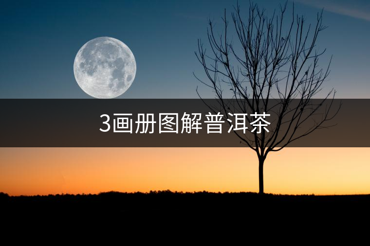 3畫冊(cè)圖解普洱茶 3畫冊(cè)圖解普洱茶