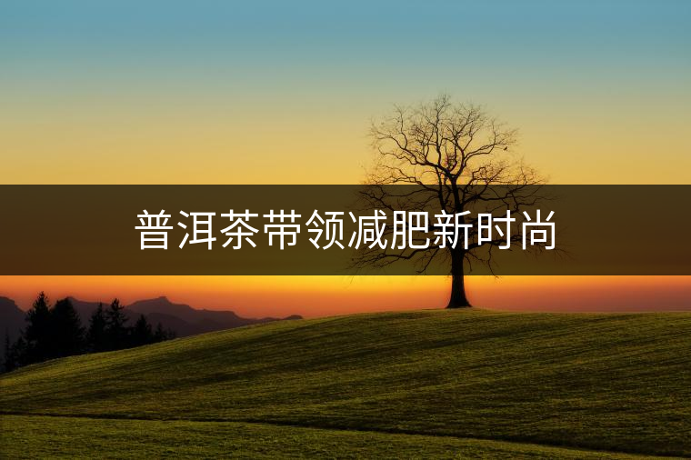 普洱茶帶領(lǐng)減肥新時尚