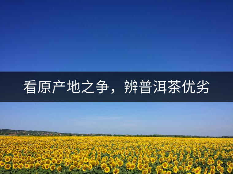 看原產(chǎn)地之爭(zhēng)，辨普洱茶優(yōu)劣